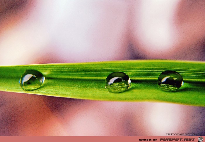 Wow-Bilder! Anschauen und genieen!