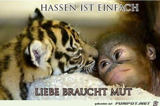 Liebe braucht Mut