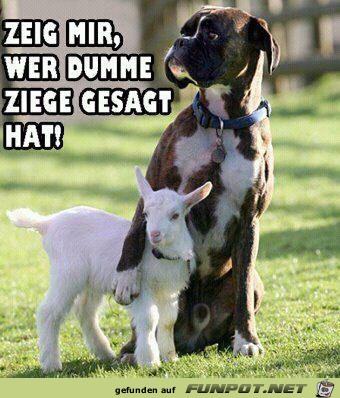 Wer hat das gesagt? Wer hat das gesagt?