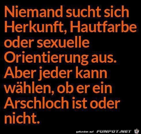 Arschloch Arschloch