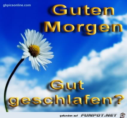 Guten Morgen Guten Morgen