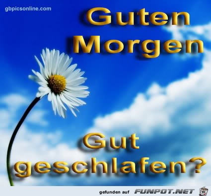 Guten Morgen 