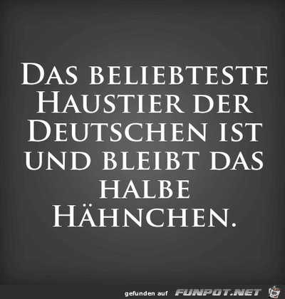 beliebtes Haustier beliebtes Haustier