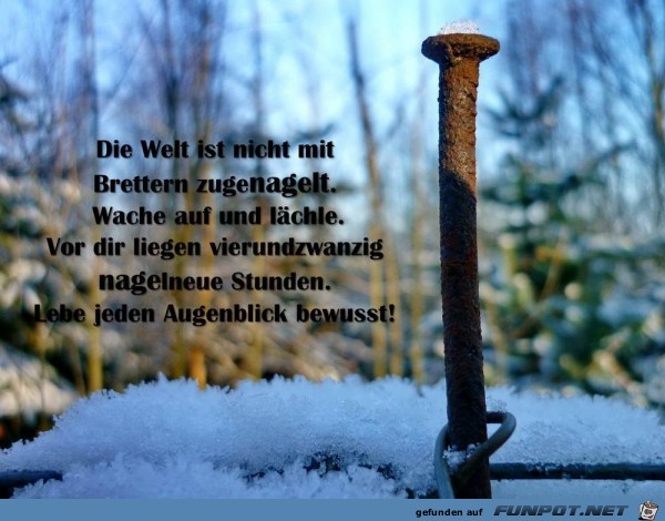 wache auf wache auf