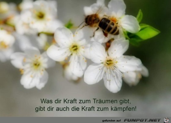was dir Kraft was dir Kraft