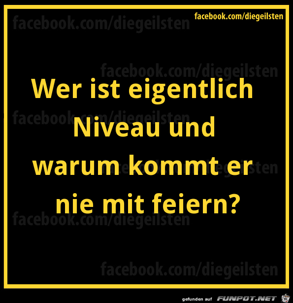 diegeilsten Niveau2 diegeilsten Niveau2
