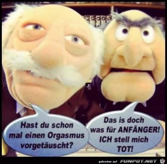 hast du schon mal hast du schon mal