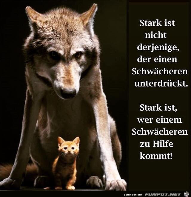 Stark