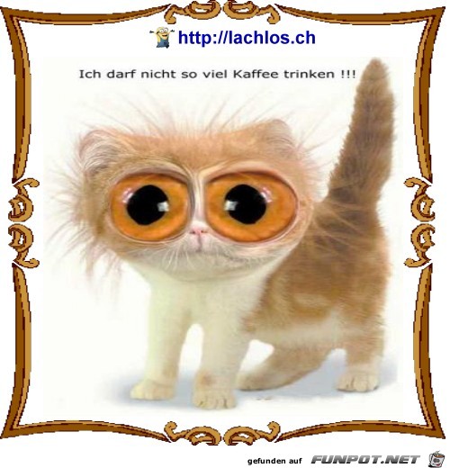 nicht soviel Kaffee nicht soviel Kaffee
