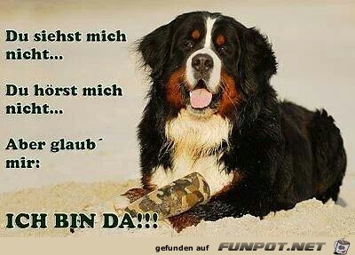 ich bin da ich bin da