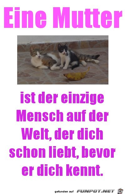 spruch-eine-mutter-kennen