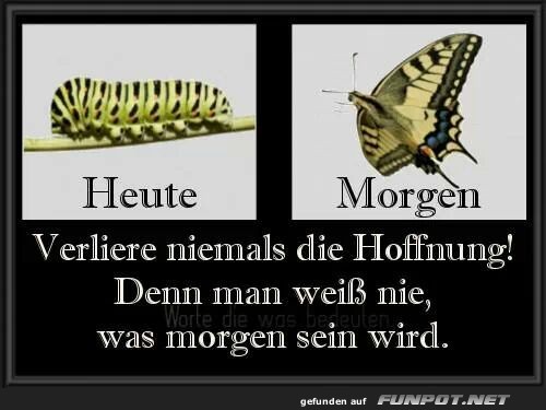 heute-morgen heute-morgen