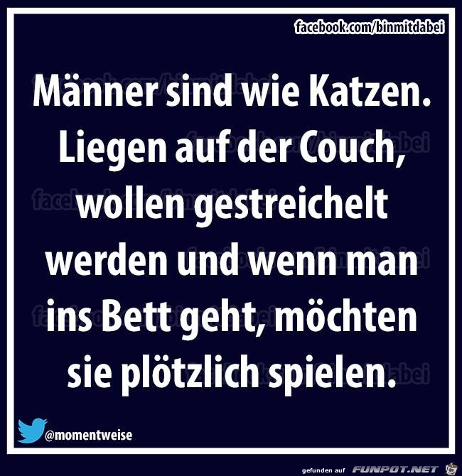 Maenner sind wie Katzen Maenner sind wie Katzen