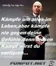 kämpfe um alles kämpfe um alles