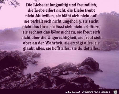 die liebe ist 