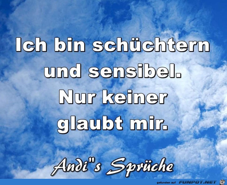 ich bin schuechtern ich bin schuechtern