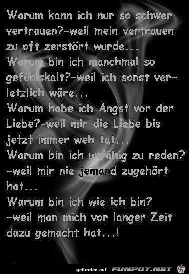 warum warum