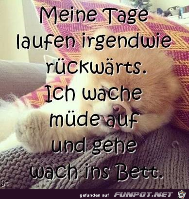Unbenannt Unbenannt