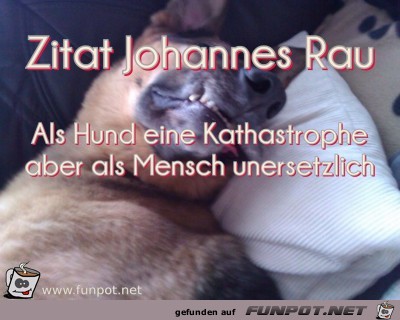 Zitat Johannes Rau