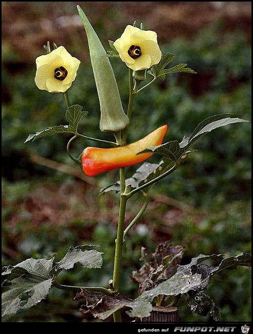 Kunst in der Natur Kunst in der Natur
