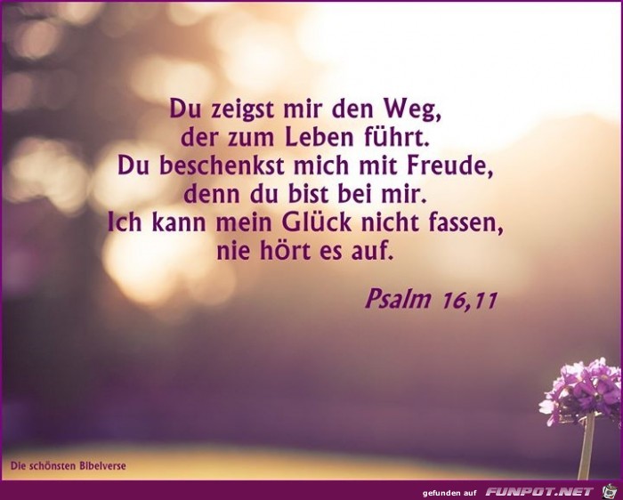 psalm 16,11