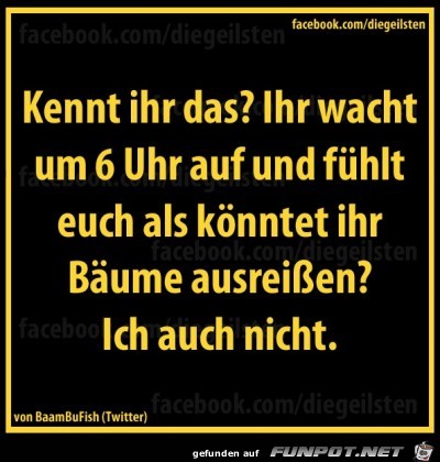 kennt ihr das kennt ihr das
