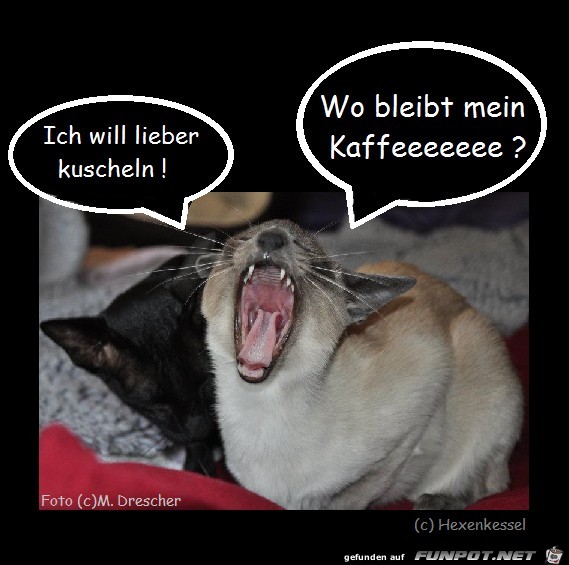 kuscheln kaffee kuscheln kaffee