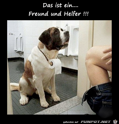 Freund und Helfer Freund und Helfer