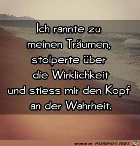 Wirklichkeit Wirklichkeit