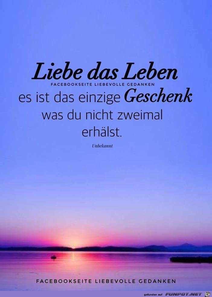 liebe das Leben