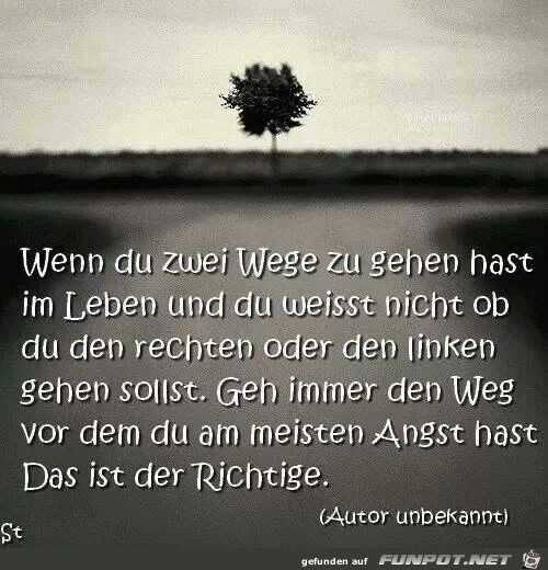 zwei wege2 zwei wege2