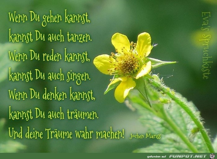 wahr machen wahr machen