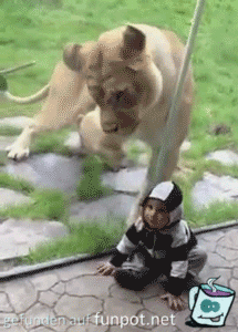 5456666 5456666