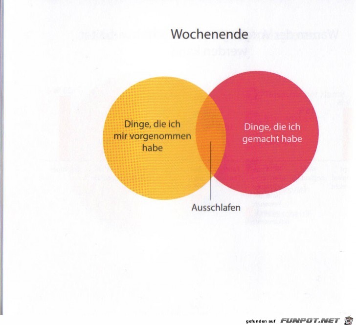 witzige Bilderserie Nr. 48 - klasse statistische Erhebungen