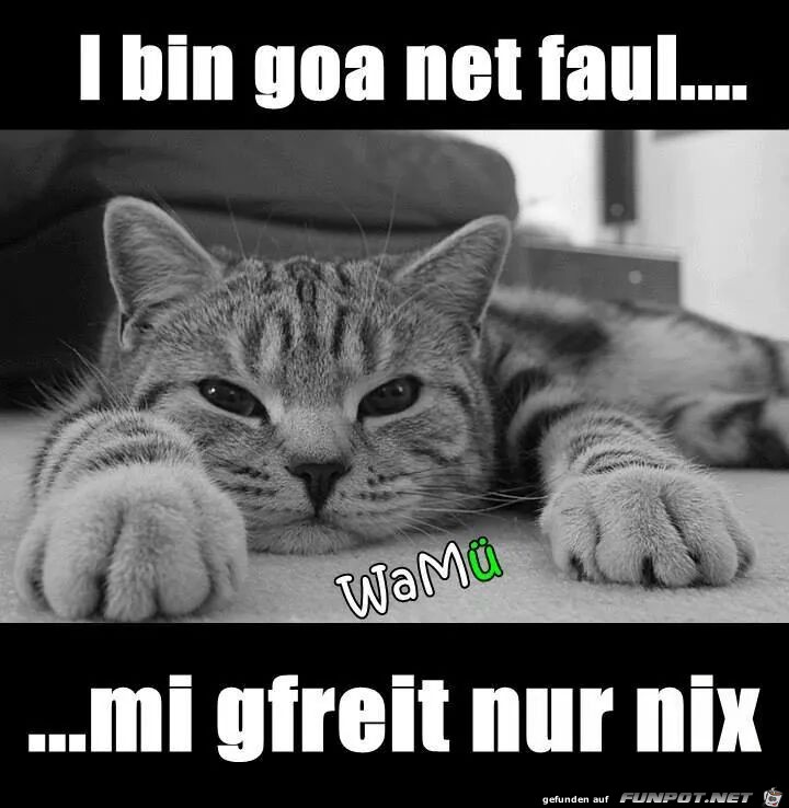 Ich bin net faul