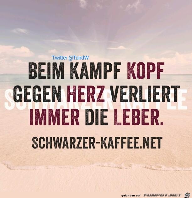 Kampf Kampf