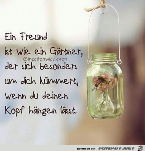 ein freund ist wie ein freund ist wie