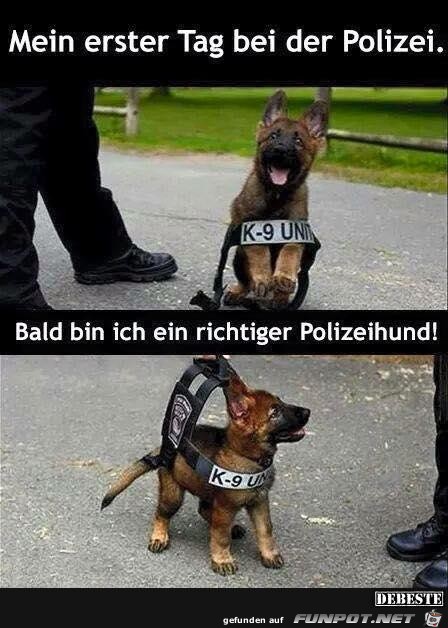 mein erster Tag mein erster Tag