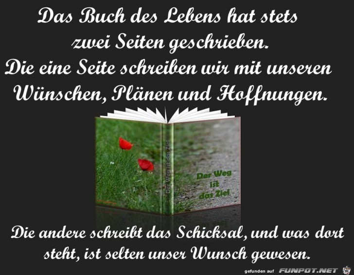 Das Buch Des Lebens Hat Stets Zwei Seiten Geschrieben