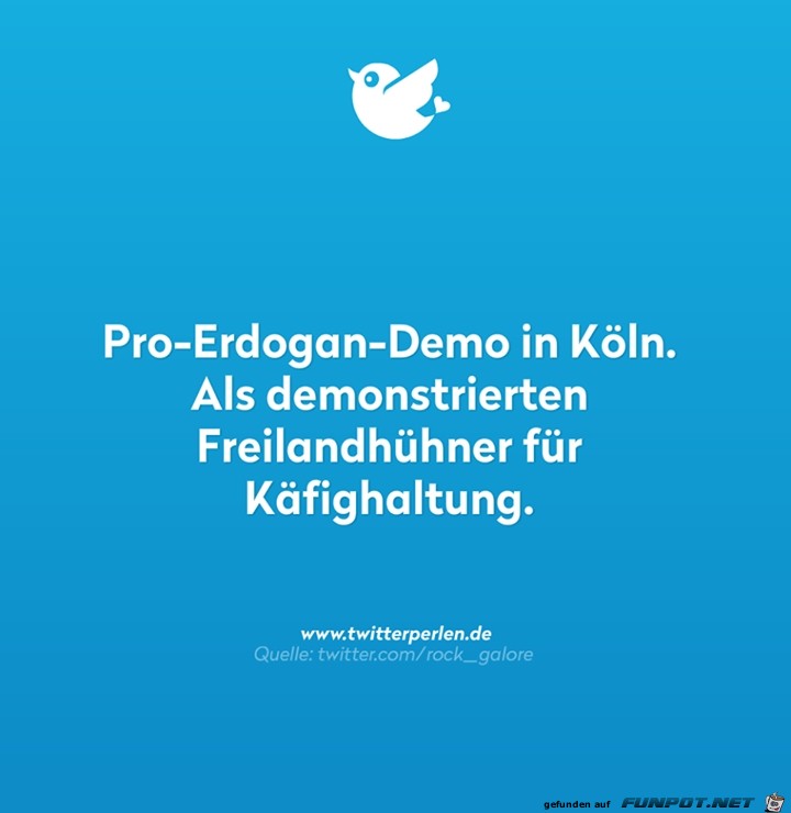 Pro-Erdogan-Demo in Kln...