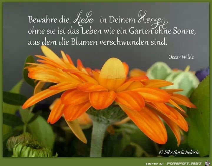 Bewahre die Liebe