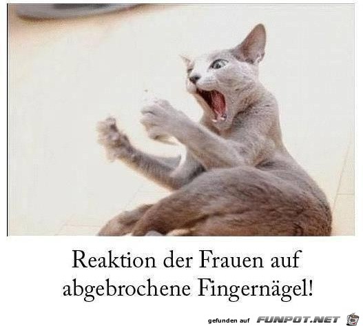 Reaktion der Frauen