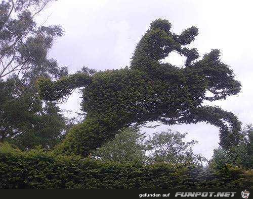 Gartenkunst - oder die Kunst mit Pflanzen umzugehen