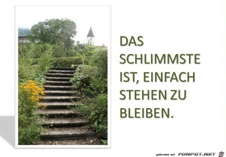 stehen zu bleiben stehen zu bleiben