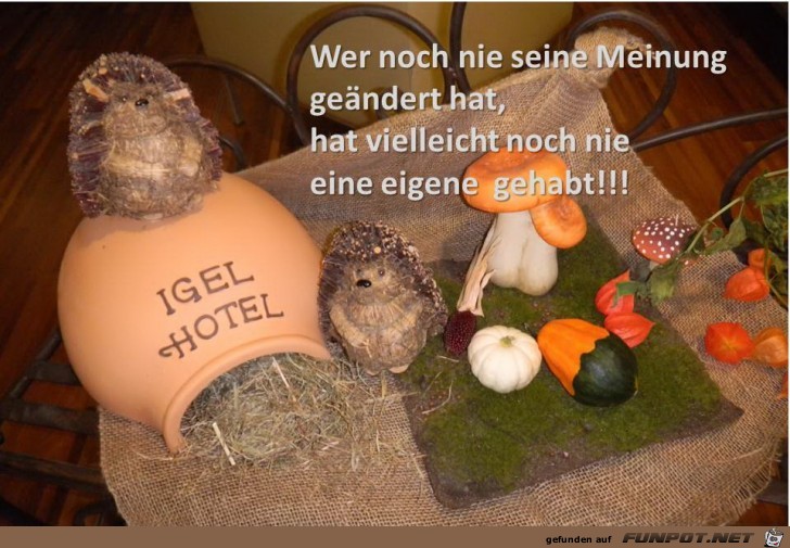 Wer noch nie seine Meinung gendert hat...