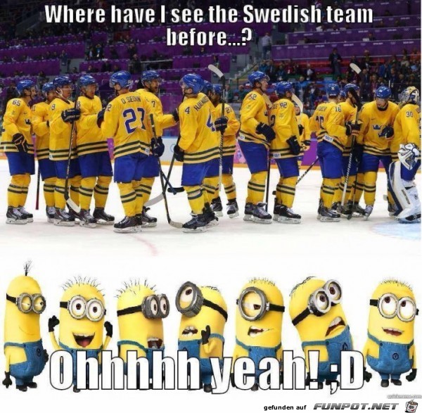 schwedisches Team
