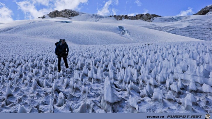 Wunder der Natur 10 Wunder der Natur 10