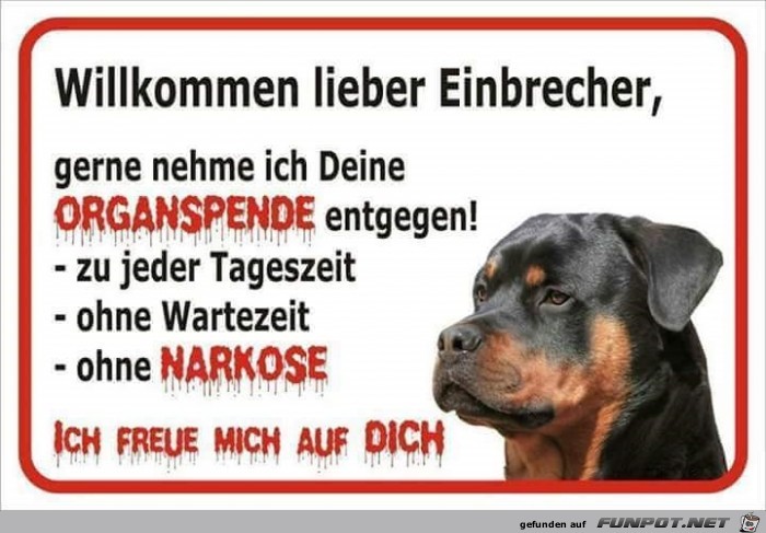 willkommen willkommen