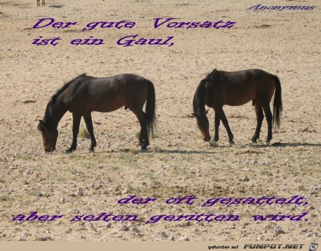 IMG 2128-13 IMG 2128-13