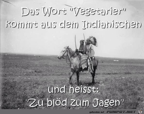 Indianer wussten das frher schon